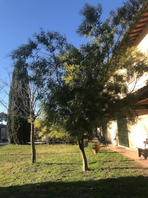 דירות Canneto  Casa Isabelle מראה חיצוני תמונה